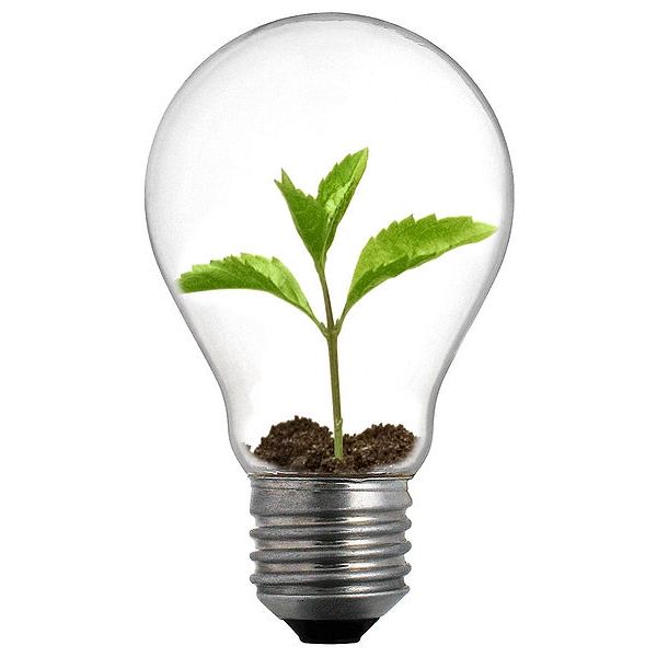 lightbulb