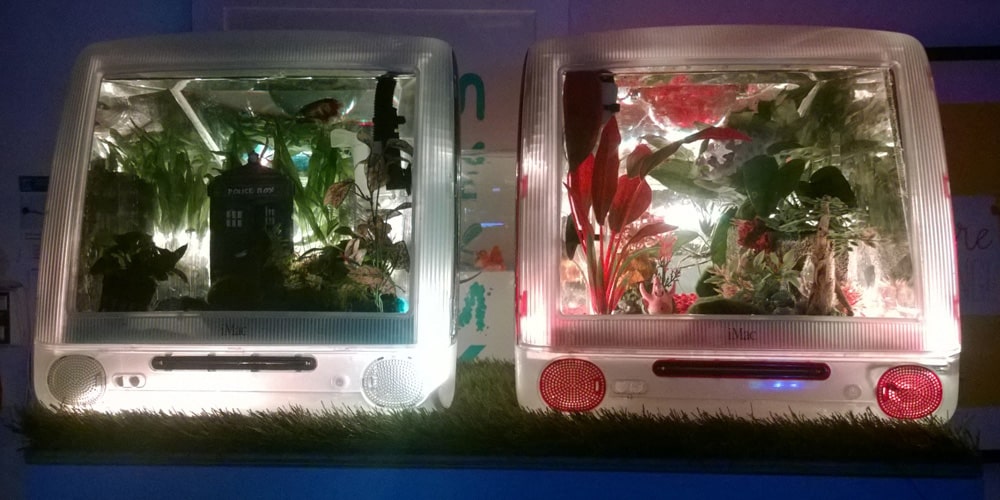 Lucidica iMac Fish Tank