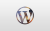 wordpress custom post types