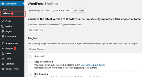 wordpress brute force attacks - updates